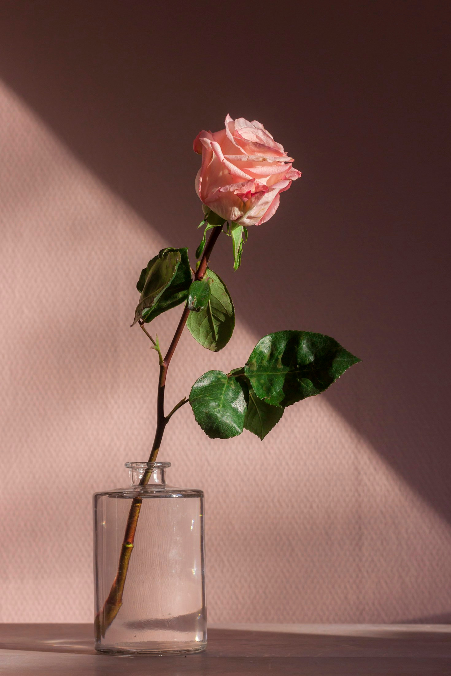 Poesia e amore: un connubio perfetto